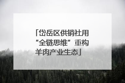 岱岳区供销社用“全链思维”重构羊肉产业生态