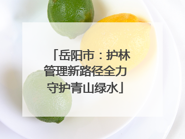 岳阳市：护林管理新路径全力守护青山绿水