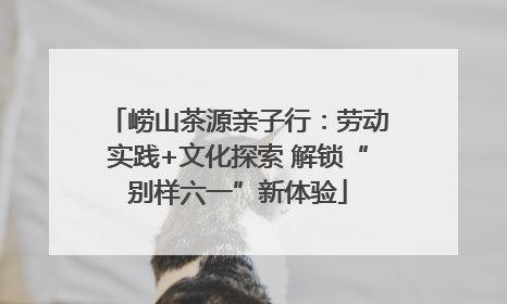 崂山茶源亲子行：劳动实践+文化探索 解锁“别样六一”新体验