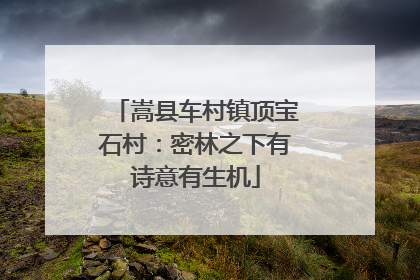 嵩县车村镇顶宝石村：密林之下有诗意有生机