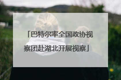 巴特尔率全国政协视察团赴湖北开展视察