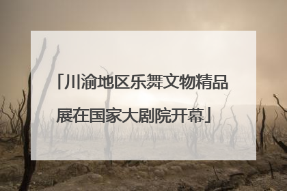 川渝地区乐舞文物精品展在国家大剧院开幕