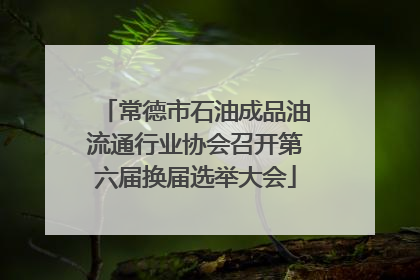 常德市石油成品油流通行业协会召开第六届换届选举大会