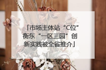 市场主体站“C位” 衡东“一区三园”创新实践被全省推介