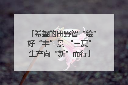 希望的田野智“绘”好“丰”景 “三夏”生产向“新”而行