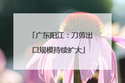 广东阳江：刀剪出口规模持续扩大