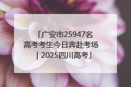 广安市25947名高考考生今日奔赴考场｜2025四川高考