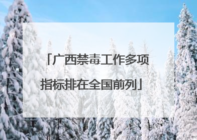 广西禁毒工作多项指标排在全国前列