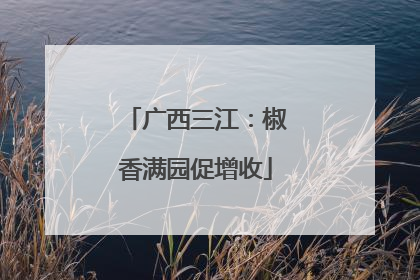 广西三江：椒香满园促增收