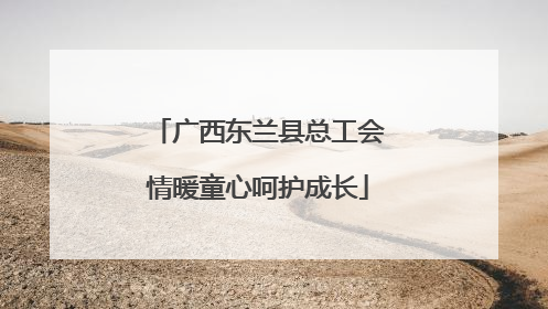 广西东兰县总工会情暖童心呵护成长