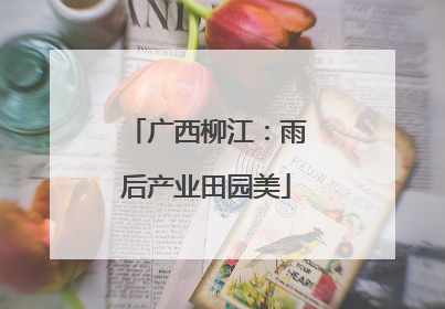广西柳江：雨后产业田园美
