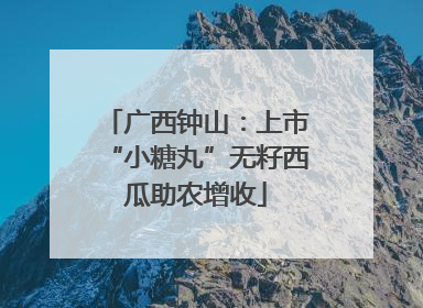 广西钟山：上市“小糖丸”无籽西瓜助农增收