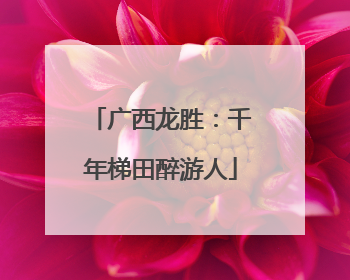 广西龙胜：千年梯田醉游人