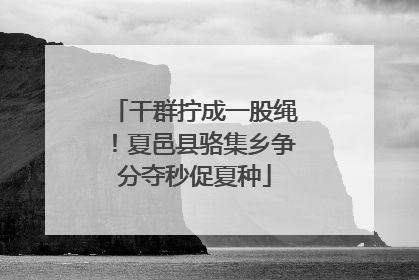 干群拧成一股绳！夏邑县骆集乡争分夺秒促夏种