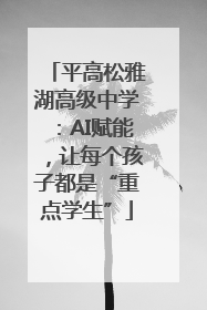 平高松雅湖高级中学：AI赋能，让每个孩子都是“重点学生”