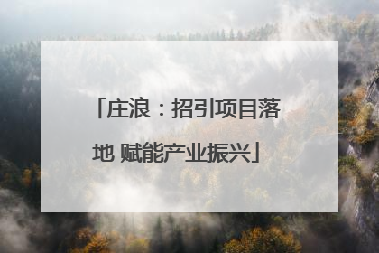 庄浪：招引项目落地 赋能产业振兴