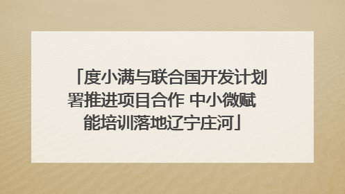 度小满与联合国开发计划署推进项目合作 中小微赋能培训落地辽宁庄河