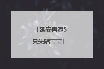 延安再添5只朱鹮宝宝
