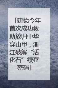 建德今年首次成功救助放归中华穿山甲，浙江破解“活化石”续存密码