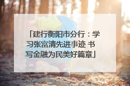 建行衡阳市分行：学习张富清先进事迹 书写金融为民美好篇章