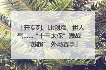 开专列、比创意、拼人气……“十三太保”激战“苏超” 外场赛事