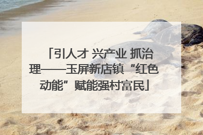 引人才 兴产业 抓治理——玉屏新店镇“红色动能”赋能强村富民