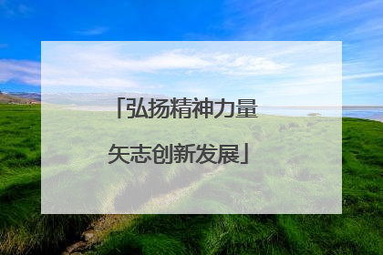 弘扬精神力量 矢志创新发展