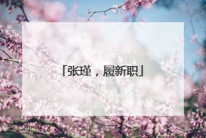 张瑾，履新职