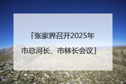 张家界召开2025年市总河长、市林长会议