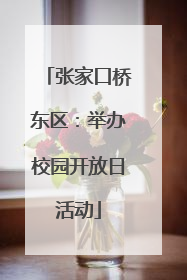 张家口桥东区：举办校园开放日活动