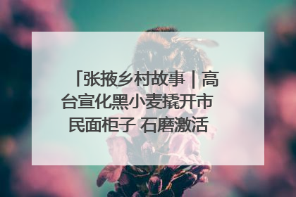 张掖乡村故事｜高台宣化黑小麦撬开市民面柜子 石磨激活村集体钱匣子