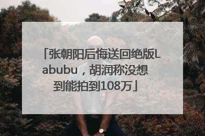 张朝阳后悔送回绝版Labubu，胡润称没想到能拍到108万