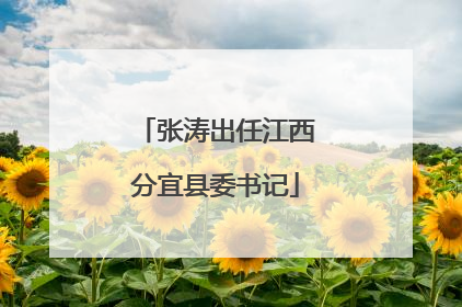 张涛出任江西分宜县委书记