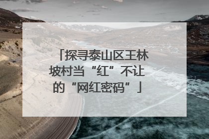 探寻泰山区王林坡村当“红”不让的“网红密码”