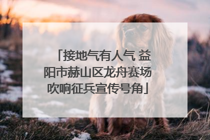 接地气有人气 益阳市赫山区龙舟赛场吹响征兵宣传号角