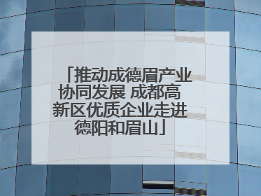 推动成德眉产业协同发展 成都高新区优质企业走进德阳和眉山