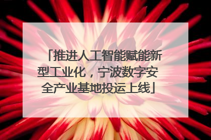 推进人工智能赋能新型工业化，宁波数字安全产业基地投运上线