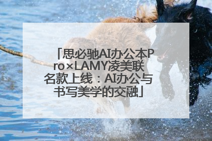 思必驰AI办公本Pro×LAMY凌美联名款上线：AI办公与书写美学的交融
