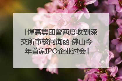 悍高集团曾两度收到深交所审核问询函 佛山今年首家IPO企业过会