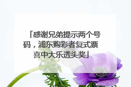 感谢兄弟提示两个号码，浦东购彩者复式票喜中大乐透头奖