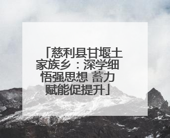 慈利县甘堰土家族乡：深学细悟强思想 蓄力赋能促提升