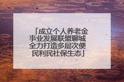 成立个人养老金事业发展联盟聊城全力打造多层次便民利民社保生态