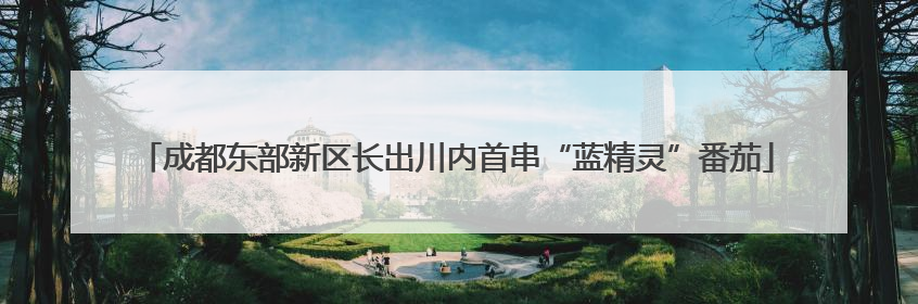 成都东部新区长出川内首串“蓝精灵”番茄