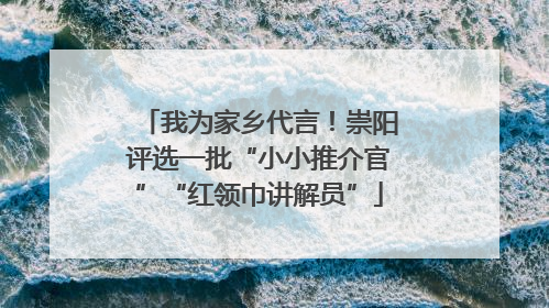 我为家乡代言！崇阳评选一批“小小推介官”“红领巾讲解员”