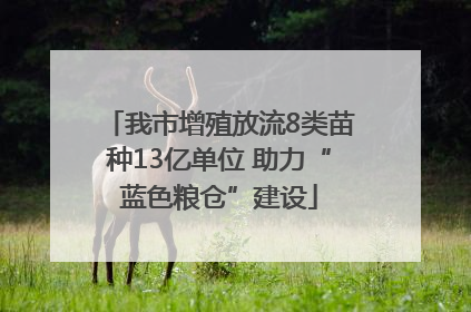 我市增殖放流8类苗种13亿单位 助力“蓝色粮仓”建设