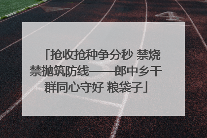抢收抢种争分秒 禁烧禁抛筑防线——郎中乡干群同心守好 粮袋子