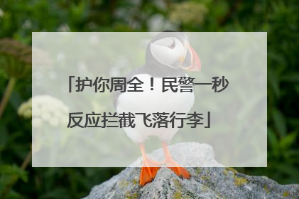 护你周全！民警一秒反应拦截飞落行李
