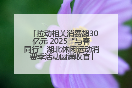 拉动相关消费超30亿元 2025“与春同行”湖北休闲运动消费季活动圆满收官
