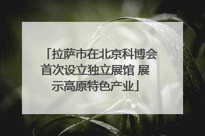 拉萨市在北京科博会首次设立独立展馆 展示高原特色产业