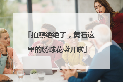 拍照绝绝子，黄石这里的绣球花盛开啦